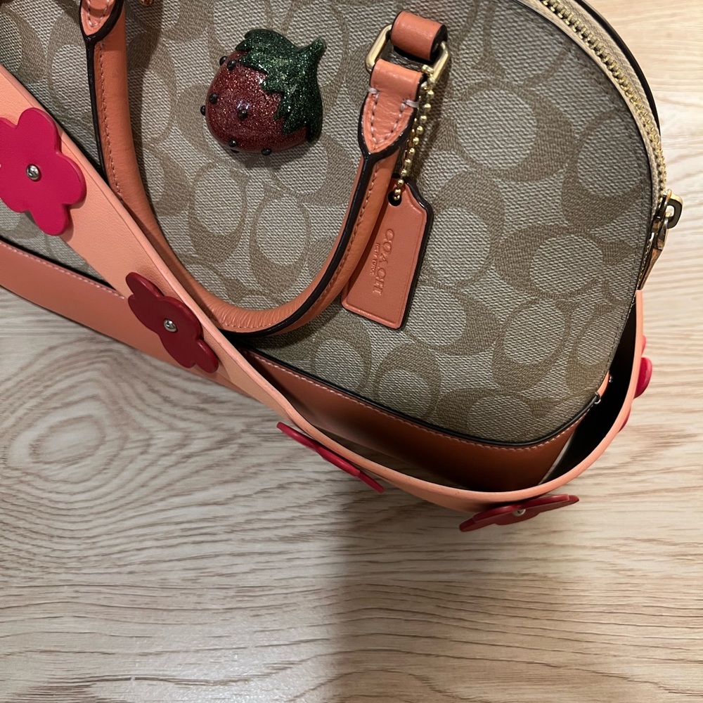 Peach coach strawberry 🍓 purse